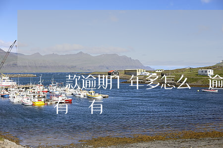 貸款逾期1年多怎么辦(逾期了一次以后貸款有沒有問題)