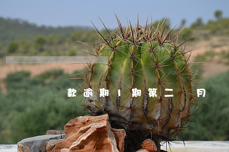 貸款逾期1期第二個月(貸款逾期兩天)