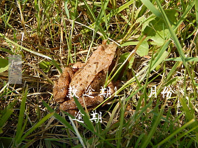 貸款逾期1筆月份數(shù)10(貸款 幾筆 逾期)