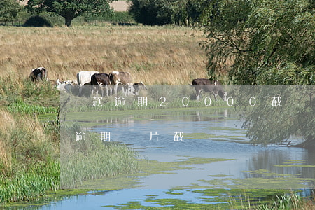 貸款逾期20000截圖(網(wǎng)貸逾期圖片截圖)
