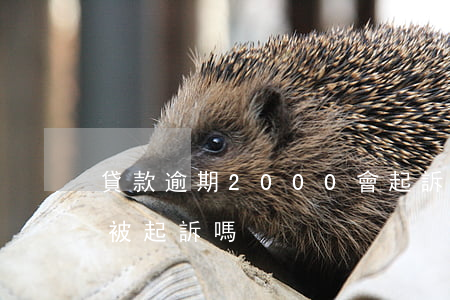 貸款逾期2000會起訴嗎(逾期2000會被起訴嗎)