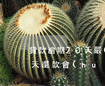 貸款逾期20天嚴(yán)重嗎(逾期20天還款會(huì)怎么樣)