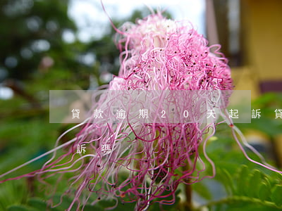 貸款逾期20天起訴(貸款逾期20天會被起訴嗎)