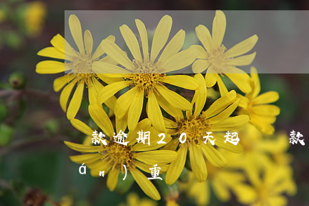貸款逾期20天起訴(貸款逾期十幾天嚴(yán)重嗎)