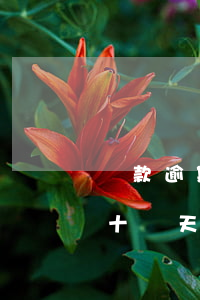 貸款逾期24天會(huì)怎樣(貸款逾期十幾天會(huì)怎么樣)