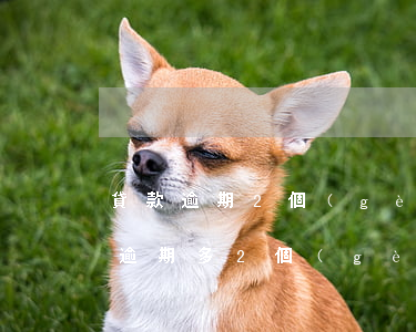 貸款逾期2個(gè)月會(huì)怎樣(逾期多2個(gè)月還能貸款嗎)