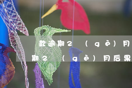 貸款逾期2個(gè)月違約金(銀行貸款逾期2個(gè)月后果)