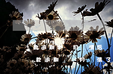 貸款逾期2個月還清后還可以申請貸款嗎-貸款逾期兩個月還清了影響征信嗎