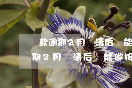 貸款逾期2月結清后還能做按揭嗎-貸款逾期2月結清后還能做按揭嗎
