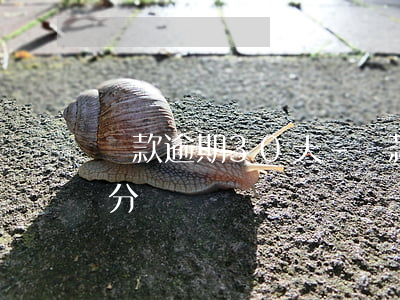 貸款逾期30天-貸款逾期30天劃分五級分類