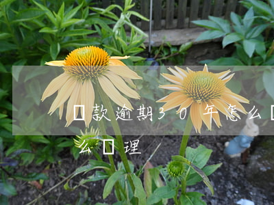 貸款逾期30年怎么辦理(貸款逾期三年后怎么處理)