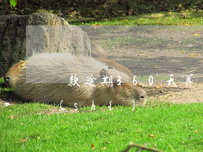 貸款逾期360天算損失(貸款期限是多長時(shí)間)