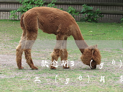 貸款逾期3個(gè)月能出國嗎(貸款逾期三個(gè)月還款的后果)