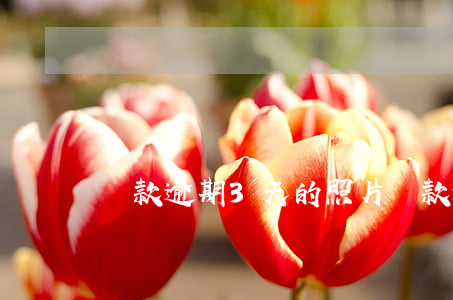 貸款逾期3天的照片(貸款逾期三天)