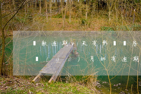 貸款逾期4天有影響嗎(房貸連續(xù)四個(gè)月都有逾期幾天)