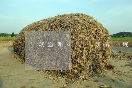 貸款逾期4天還款(房貸晚4天還款算逾期嗎)