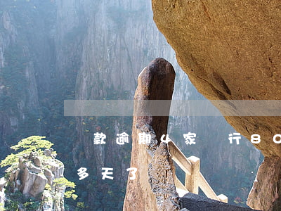 貸款逾期4家銀行80萬(銀行貸款逾期20多天了)