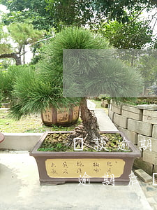 貸款逾期5500聯(lián)系人(貸款逾期后聯(lián)系家人違法嗎)