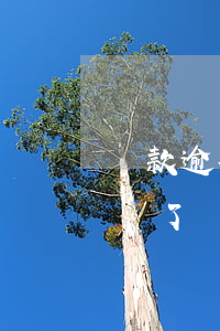 貸款逾期5個月后還清了(房貸逾期五天忘記還了會怎樣)