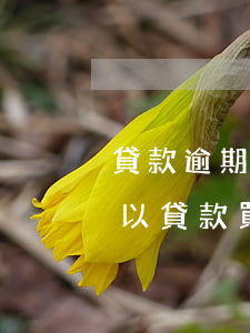 貸款逾期5年后能買房嗎(征信逾期5年后 可以貸款買房嗎)