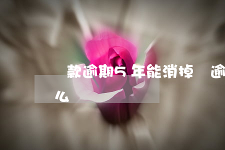 貸款逾期5年能消掉嗎(逾期五年時間到了,怎么辦)