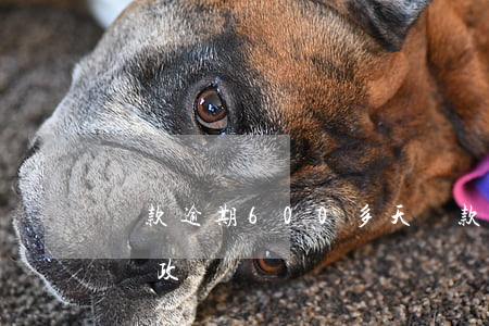 貸款逾期600多天(貸款逾期600多天影響政審嗎)