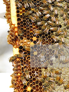 貸款逾期60天不計提(60天逾期貸款納入不良)