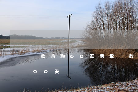 貸款逾期60天后果(貸款逾期60天不超過90天)