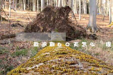 貸款逾期60天怎么處理