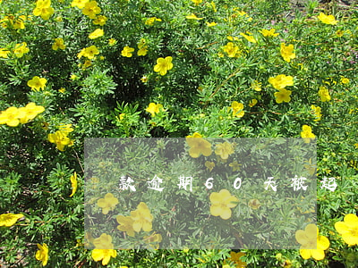 貸款逾期60天被起訴(貸款一千元逾期被起訴)