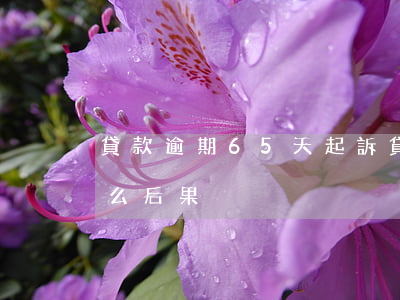 貸款逾期65天起訴(貸款逾期60天會有什么后果)