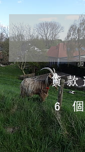 貸款逾期6個(gè)月算詐騙嗎(貸款逾期6個(gè)月算詐騙嗎)