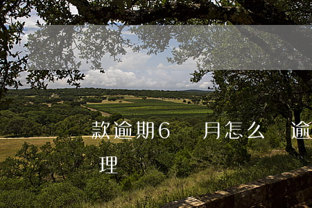 貸款逾期6個月怎么辦(逾期超過6個月怎么處理)