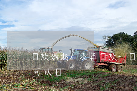 貸款逾期6次再貸款-貸款逾期6次再貸款可以嗎