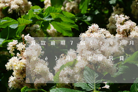 貸款逾期7個(gè)月還可以(逾期7個(gè)月還能辦房貸)