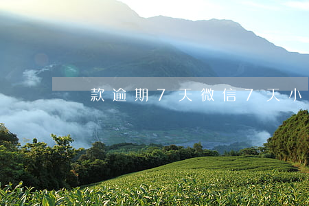 貸款逾期7天（微信7天小貸逾期）