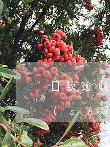 貸款逾期7天還能貸款嗎(貸款逾期七天及時(shí)已還清會(huì)有后果)