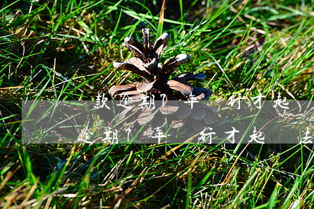 貸款逾期7年銀行才起訴法院受理嗎?-貸款逾期7年銀行才起訴法院受理嗎怎么辦