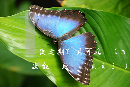 貸款逾期7月可以買(mǎi)房嗎(逾期七次能貸款買(mǎi)房嗎)
