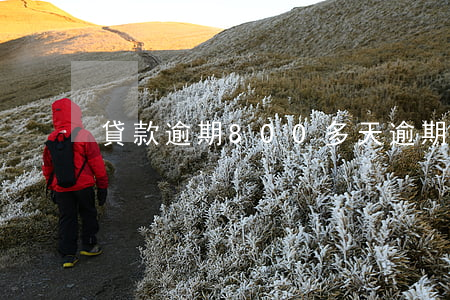 貸款逾期800多天(逾期1000多天)