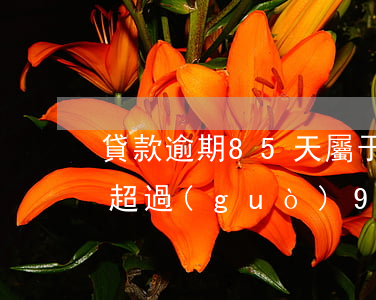 貸款逾期85天屬于(銀行貸款逾期60天不超過(guò)90天)