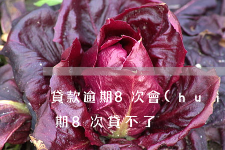 貸款逾期8次會(huì)怎么樣（信用卡逾期8次貸不了）