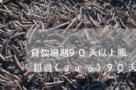 貸款逾期90天以上賬戶(貸款逾期60天不超過(guò)90天)