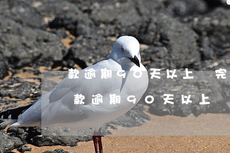 貸款逾期90天以上,還完一年后能考輔警嗎（貸款逾期90天以上）