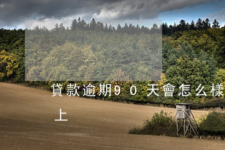 貸款逾期90天會怎么樣(逾期貸款90天以上)