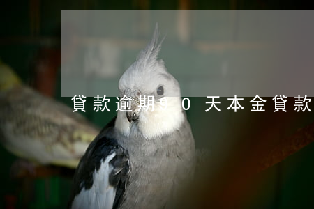 貸款逾期90天本金(貸款逾期90天本金)