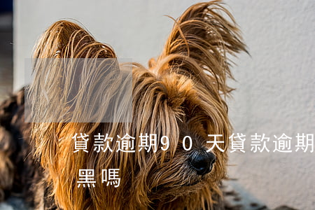 貸款逾期90天(貸款逾期90天以上征信會黑嗎)