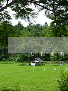 貸款逾期90天非應(yīng)計(jì)(90天以內(nèi)的逾期對貸款的影響)