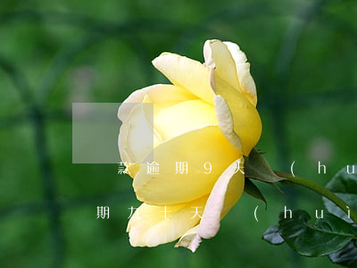 貸款逾期9天會(huì)影響征信(征信逾期九十天會(huì)怎么樣)