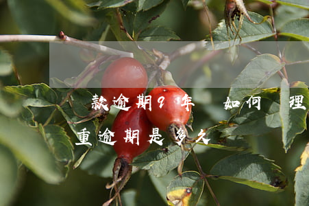 貸款逾期9年該如何處理(貸款嚴(yán)重逾期是多久)